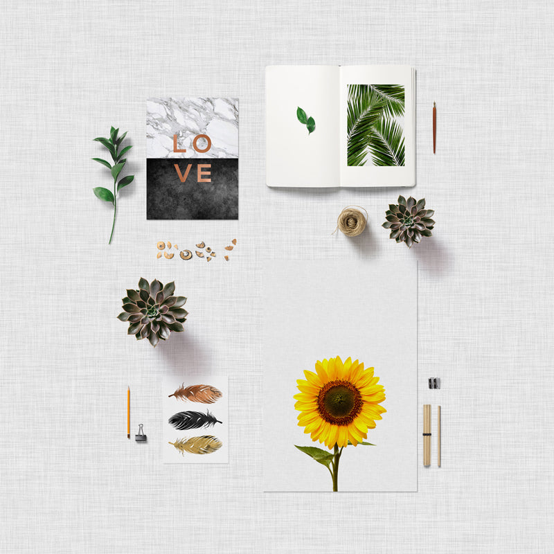 Orara Studio