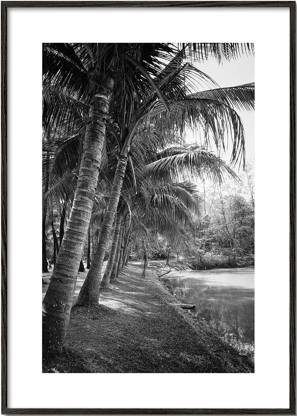 Vertikální krajina s palmami — fotografie