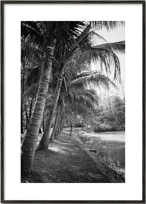 Vertikální krajina s palmami — fotografie