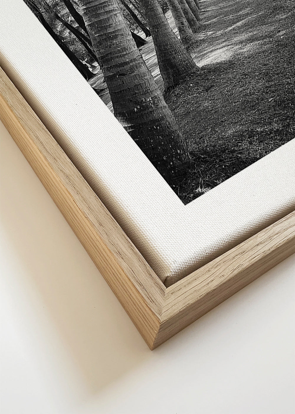 Vertikální krajina s palmami — fotografie