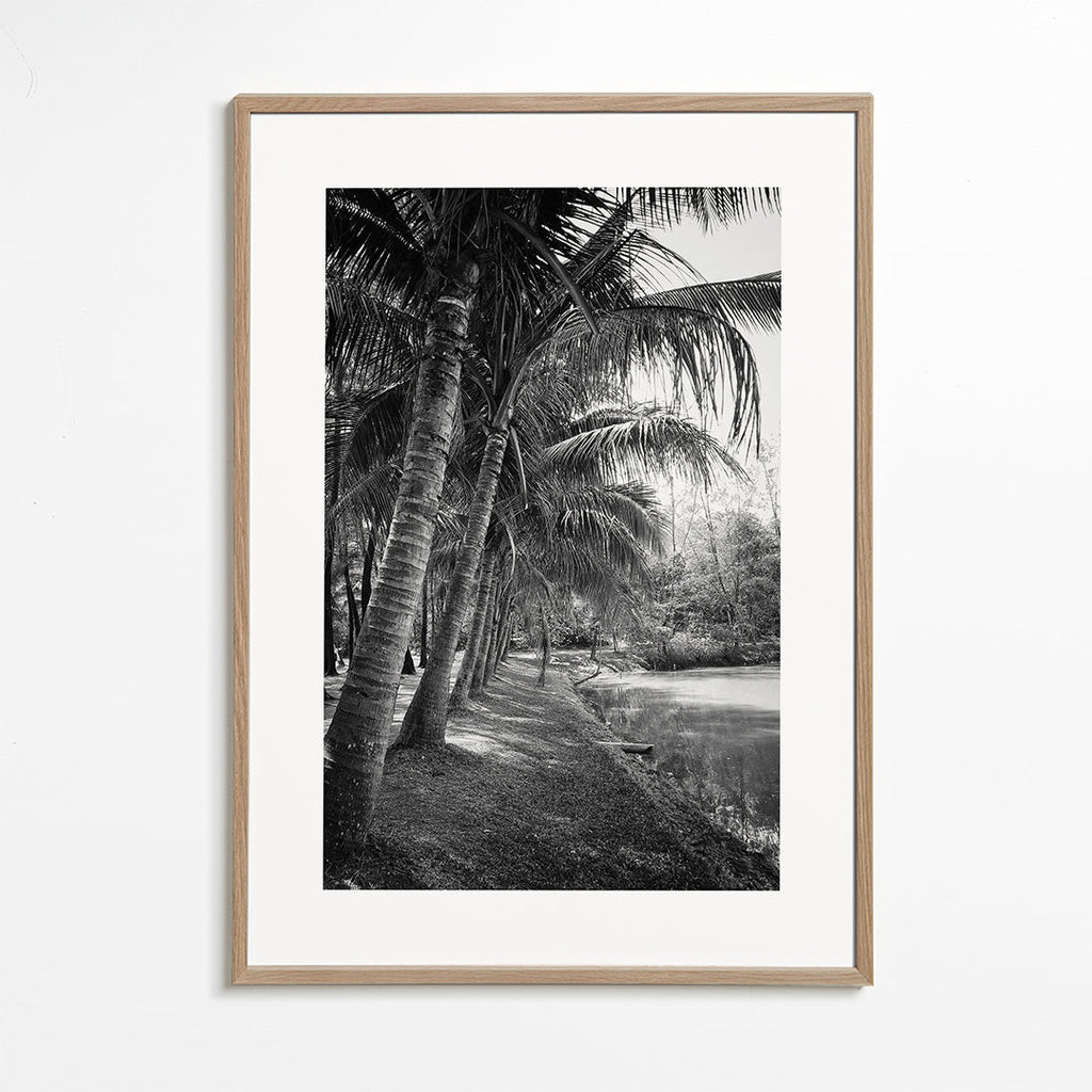 Vertikální krajina s palmami — fotografie