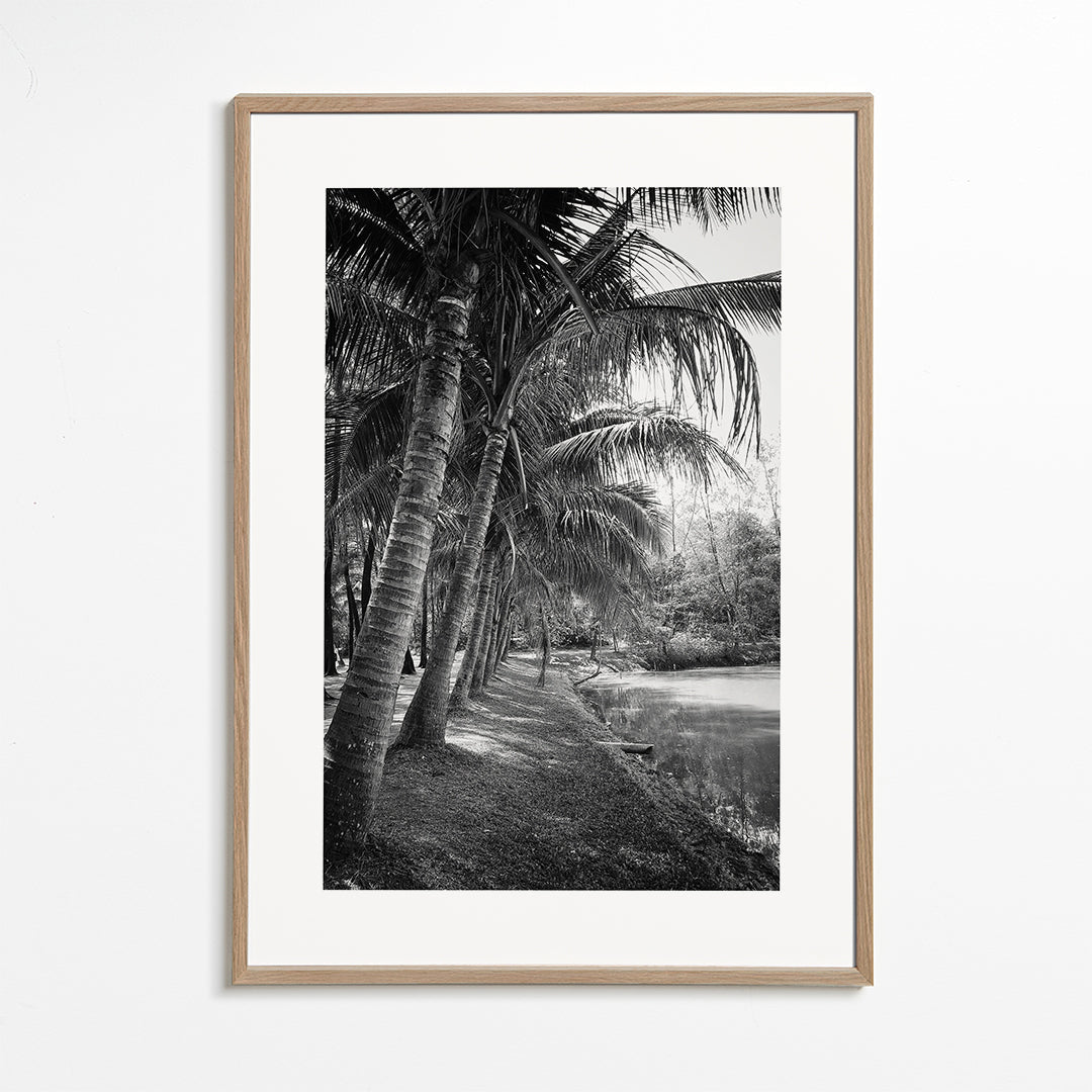 Vertikální krajina s palmami — fotografie