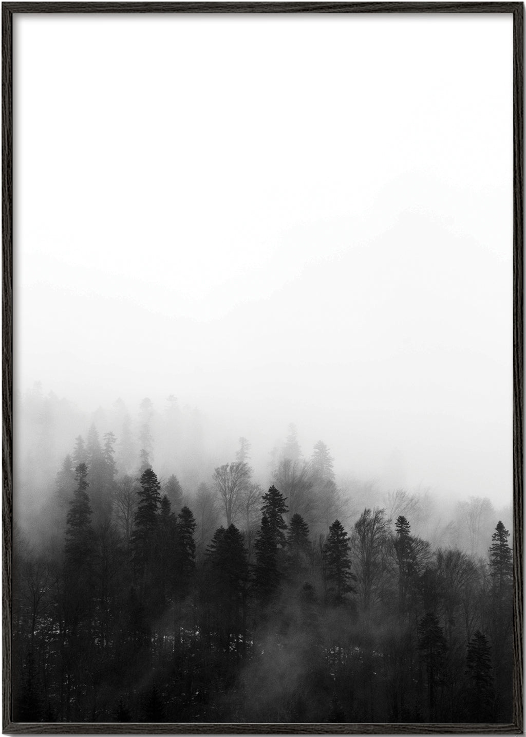 Krajina mlhavý les