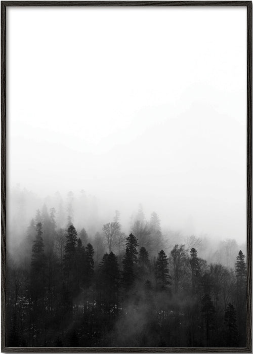 Krajina mlhavý les