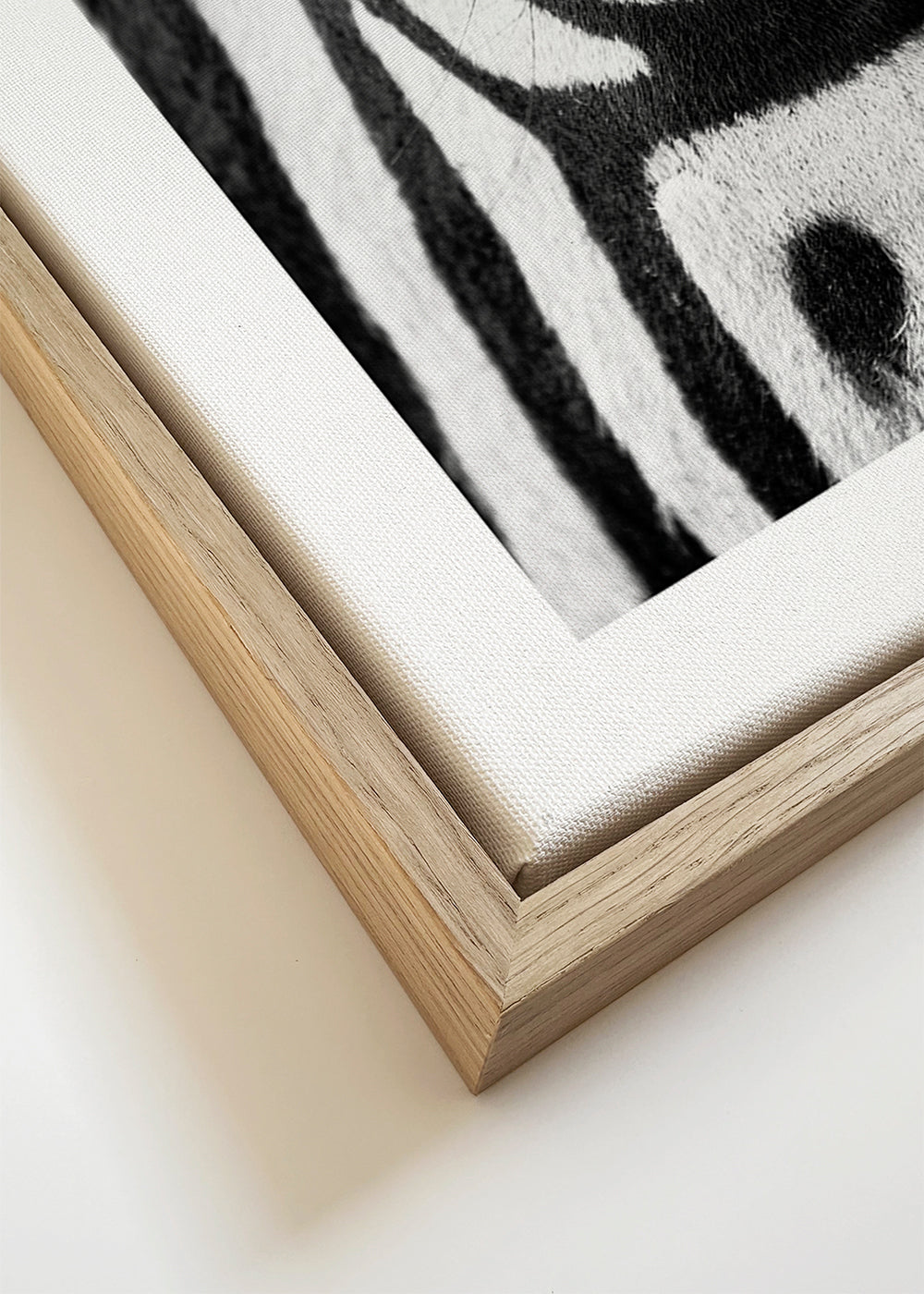 Obraz zebra v detailu