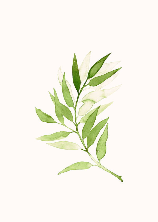 Botanický plakát: minimalistická zelená větvička