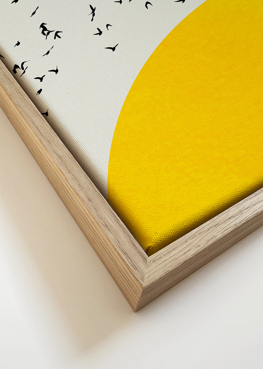 Ilustrace hejna nad minimalistickým sluncem