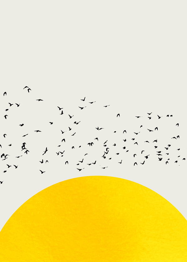 Ilustrace hejna nad minimalistickým sluncem