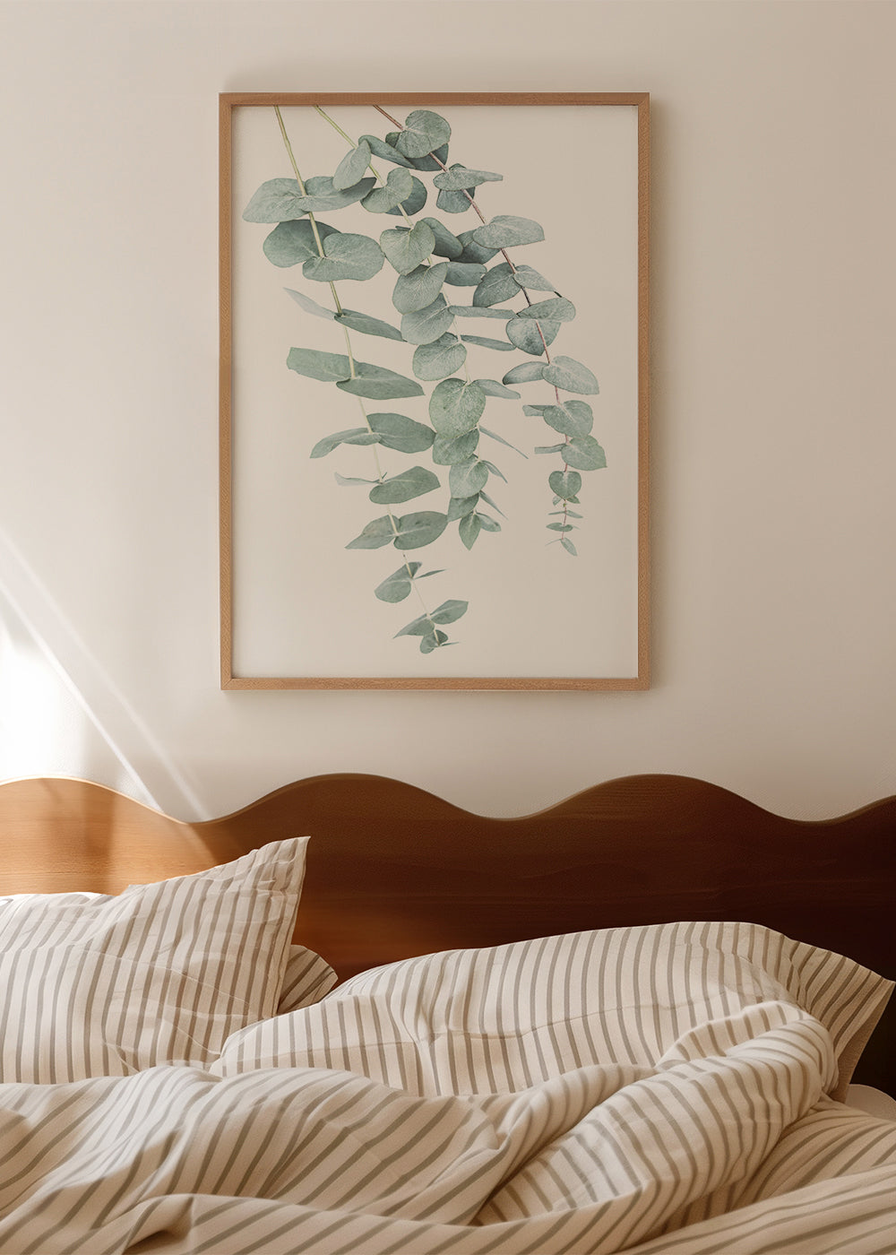 Botanický plakát s visícími větvemi eukalyptu