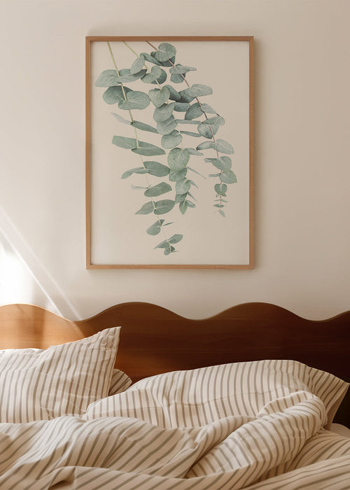 Botanický plakát s visícími větvemi eukalyptu