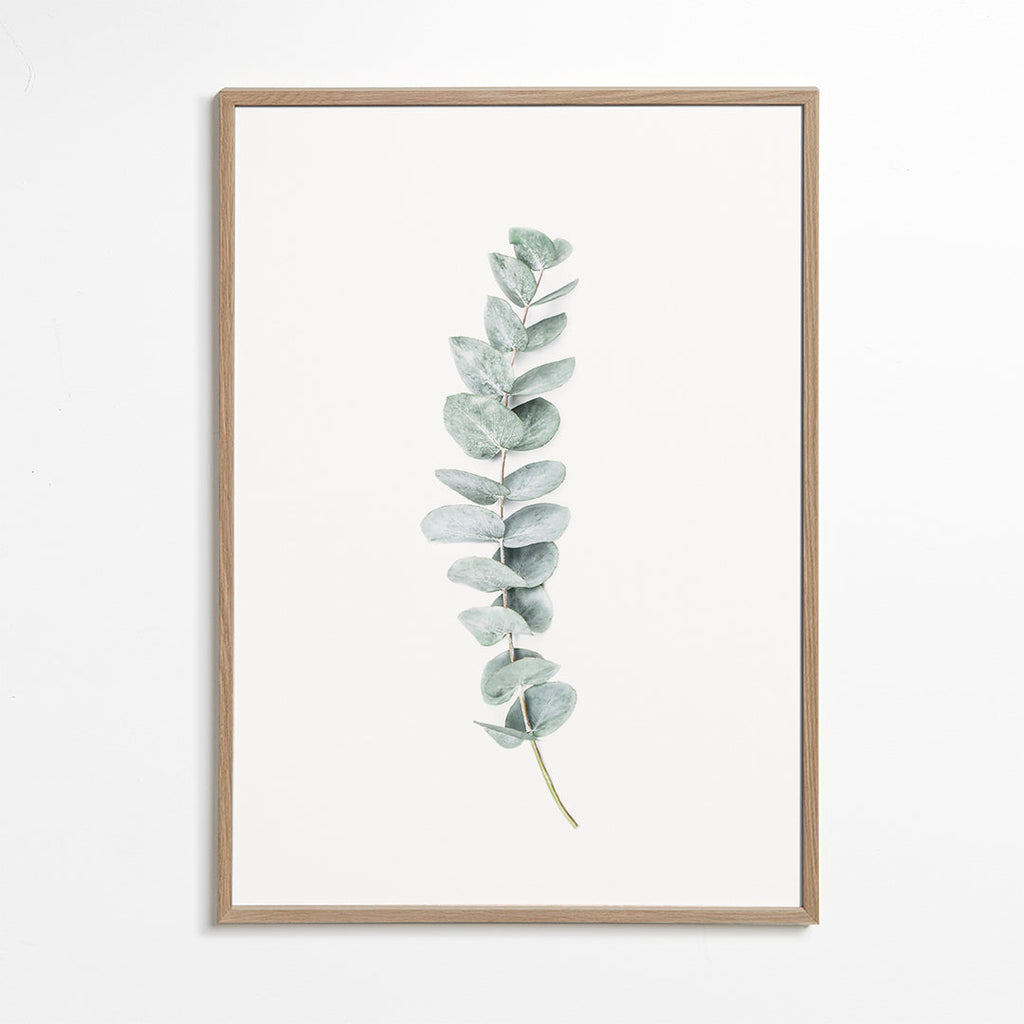 Botanický plakát: minimalistická větvička eukalyptu