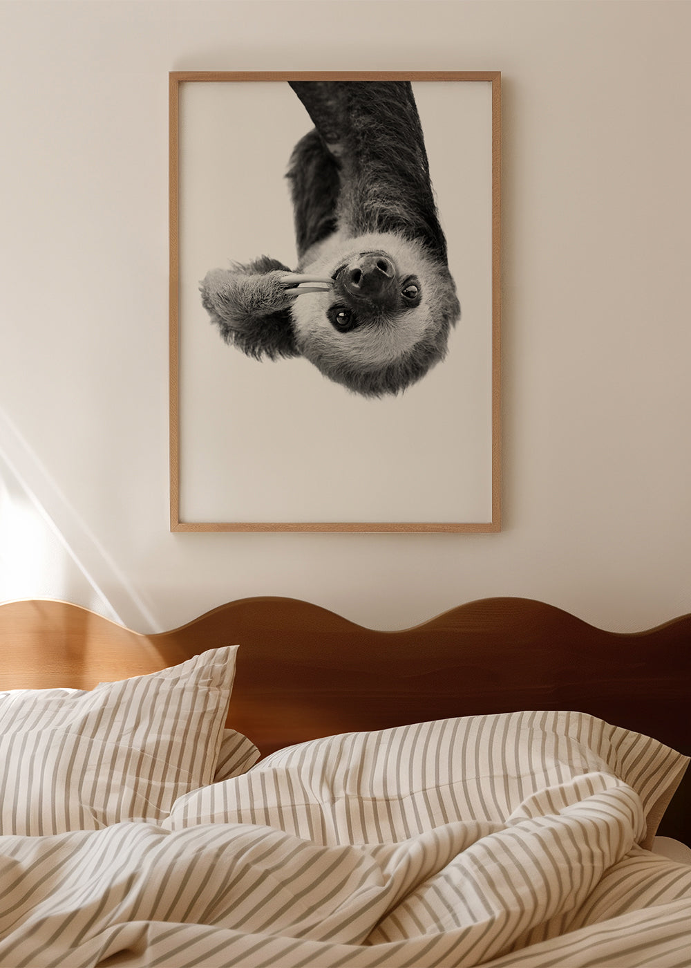 Portrét lenochoda černobílý
