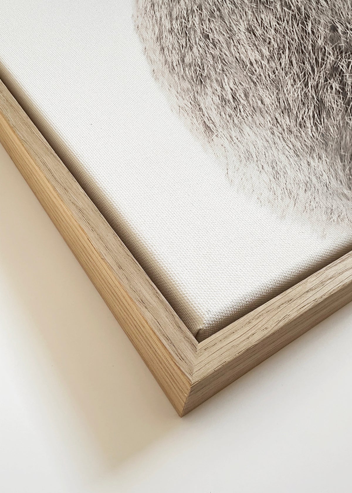 Bunny tail - Framed canvas detail