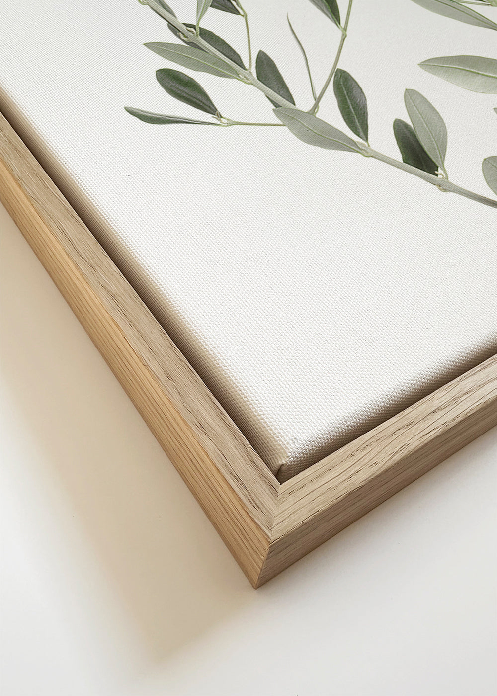 Botanický plakát olivová větvička minimal