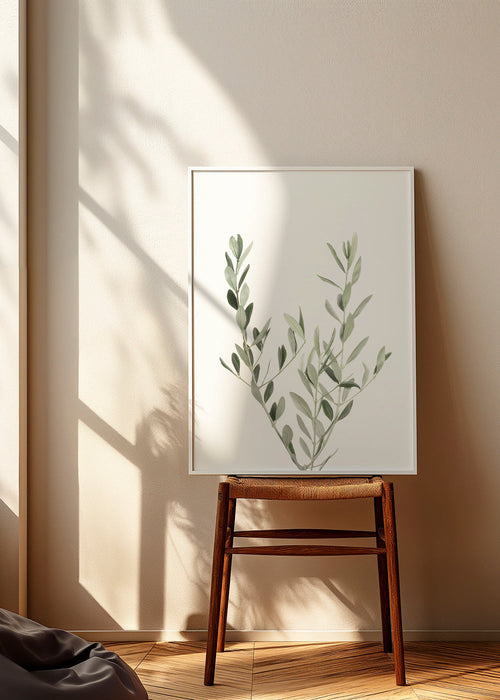 Botanický plakát olivová větvička minimal