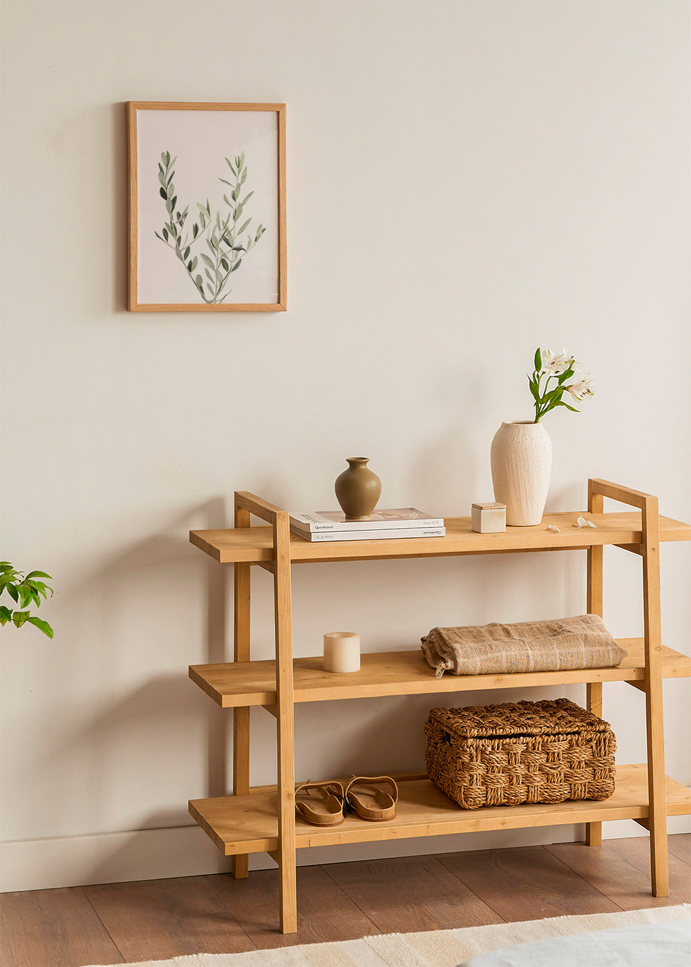 Botanický plakát olivová větvička minimal
