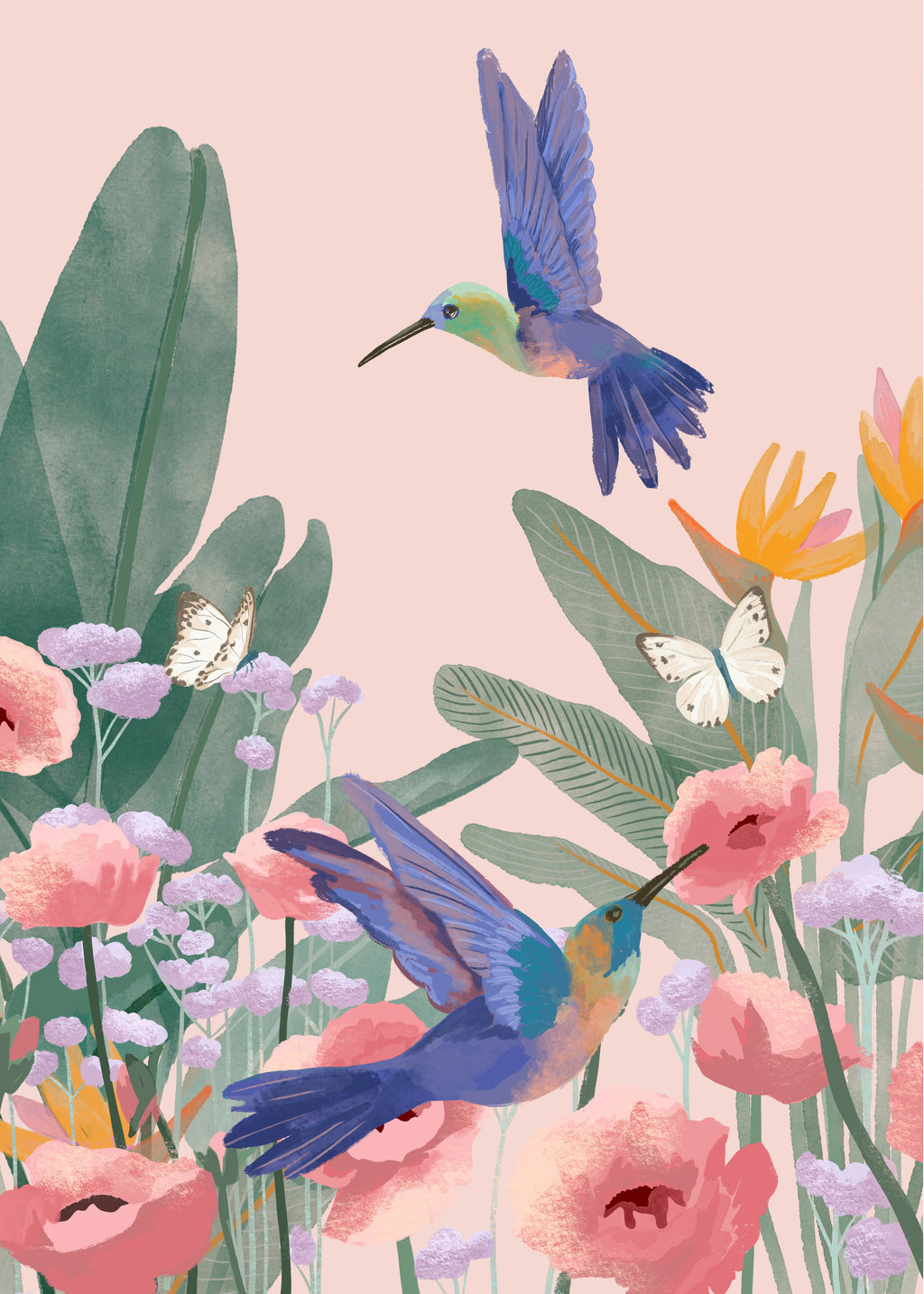 Hummingbirds - Unframed art print