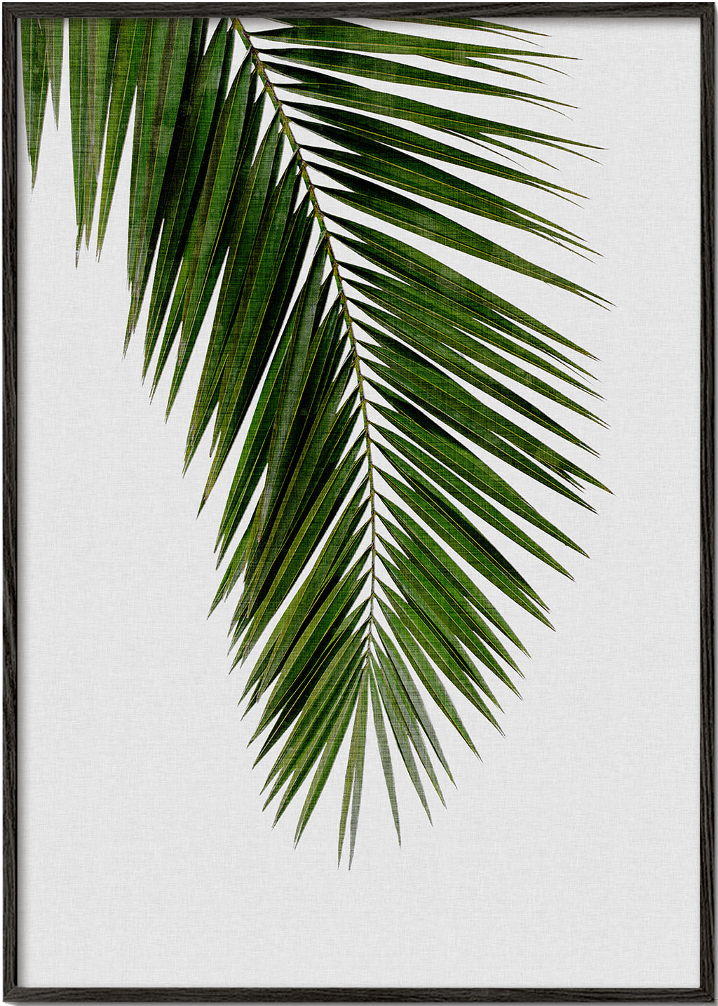 Botanický plakát: vertikální palmový list