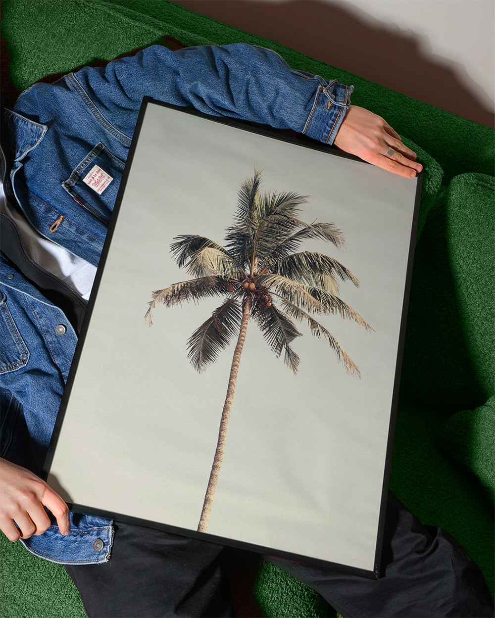 Krajinářské umění: osamělá palma ve fotografii