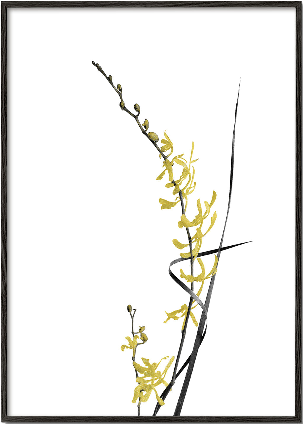 Botanický plakát: žlutá orchidej minimal