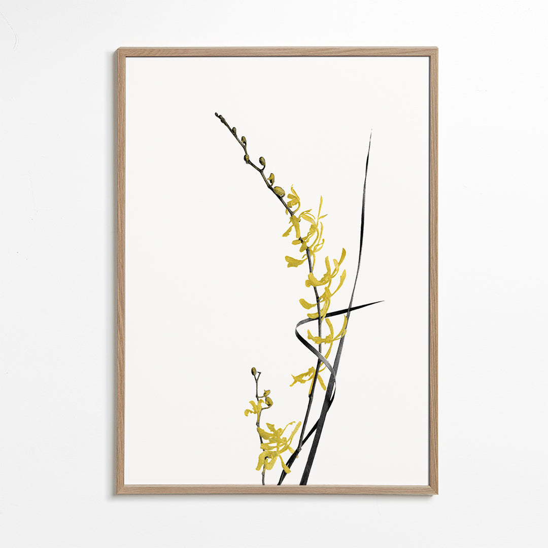 Botanický plakát: žlutá orchidej minimal