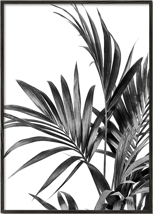 Botanický plakát palma černobílý
