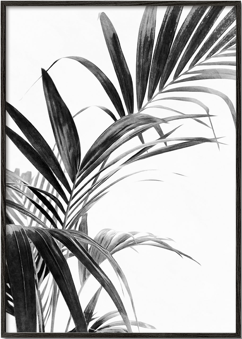 Botanický plakát: palmové listy černobíle
