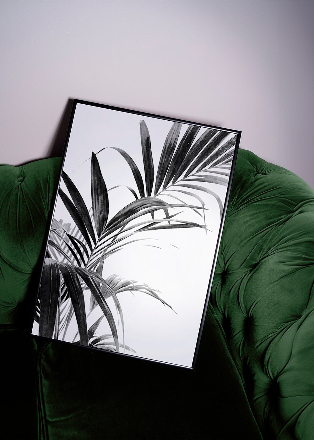 Botanický plakát: palmové listy černobíle