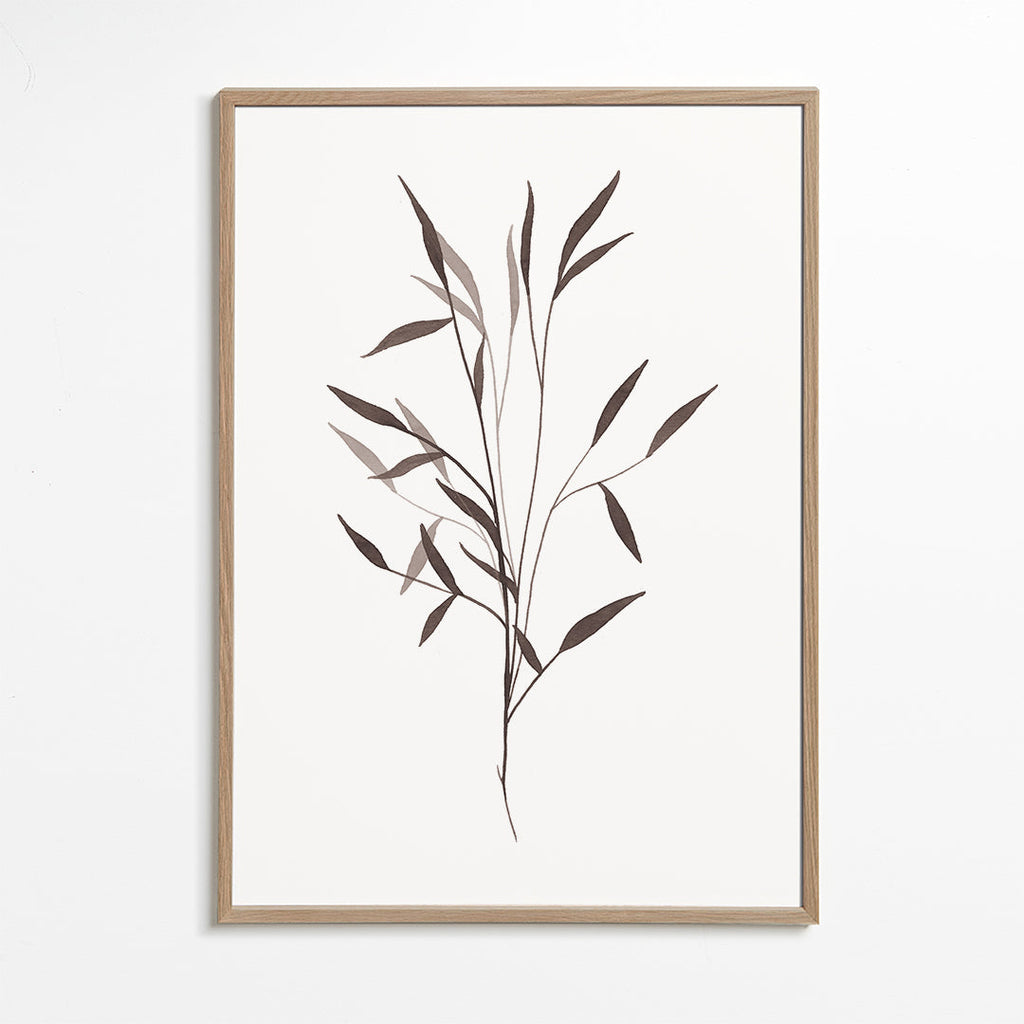 Botanický plakát štíhlá větev
