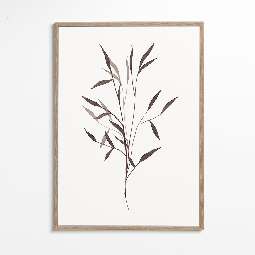 Botanický plakát štíhlá větev