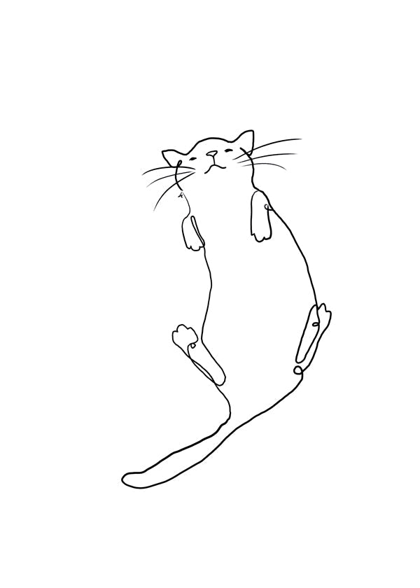 Obraz kočka čára minimalistická