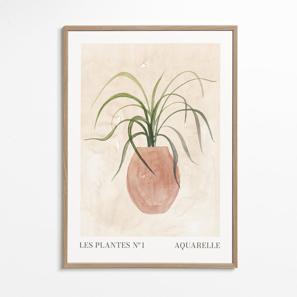 Botanický plakát: rostlina v květináči akvarel