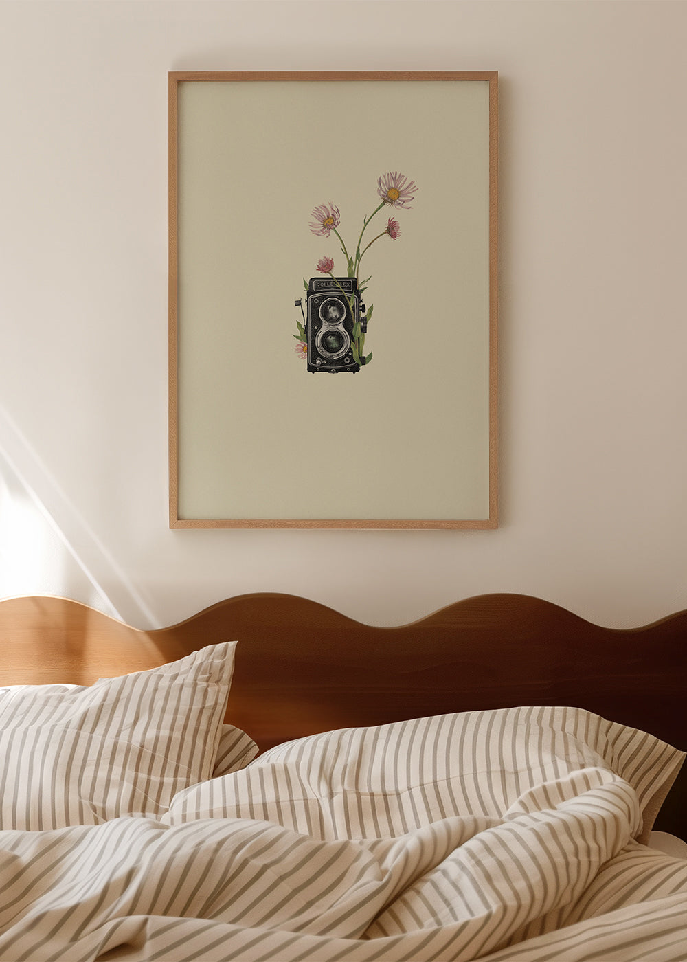 Botanický plakát se starou fotoaparátem a sedmikráskami
