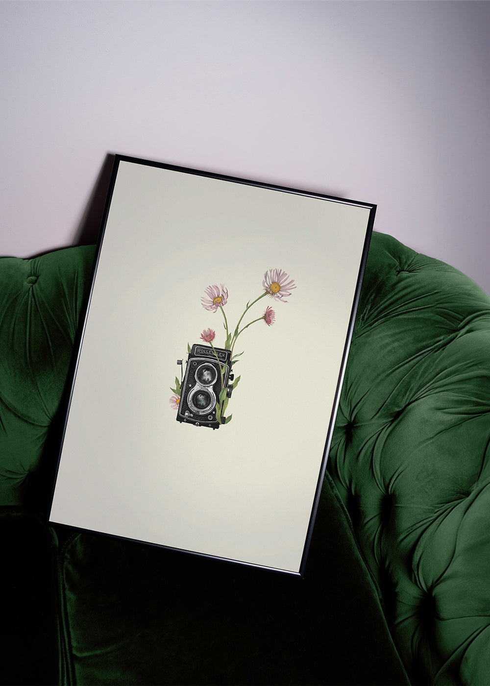 Botanický plakát se starou fotoaparátem a sedmikráskami