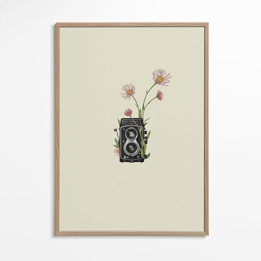 Botanický plakát se starou fotoaparátem a sedmikráskami
