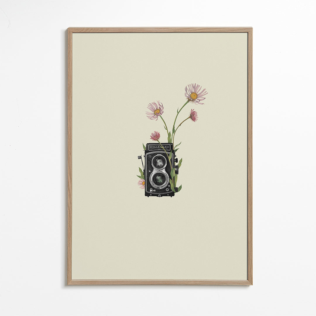 Botanický plakát se starou fotoaparátem a sedmikráskami