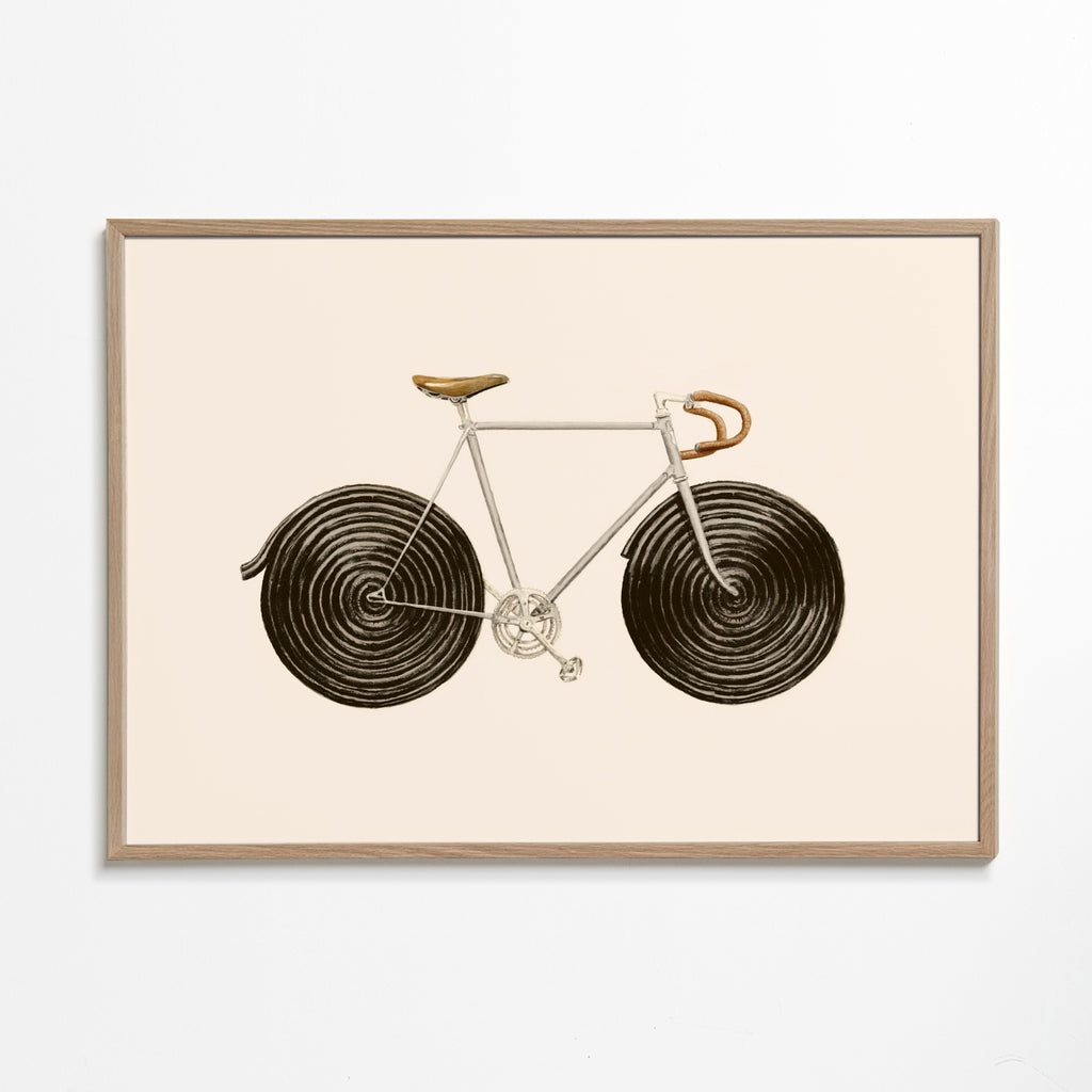 Ilustrace kola z lékořice