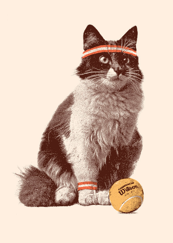 Kočka s tenisovým míčkem