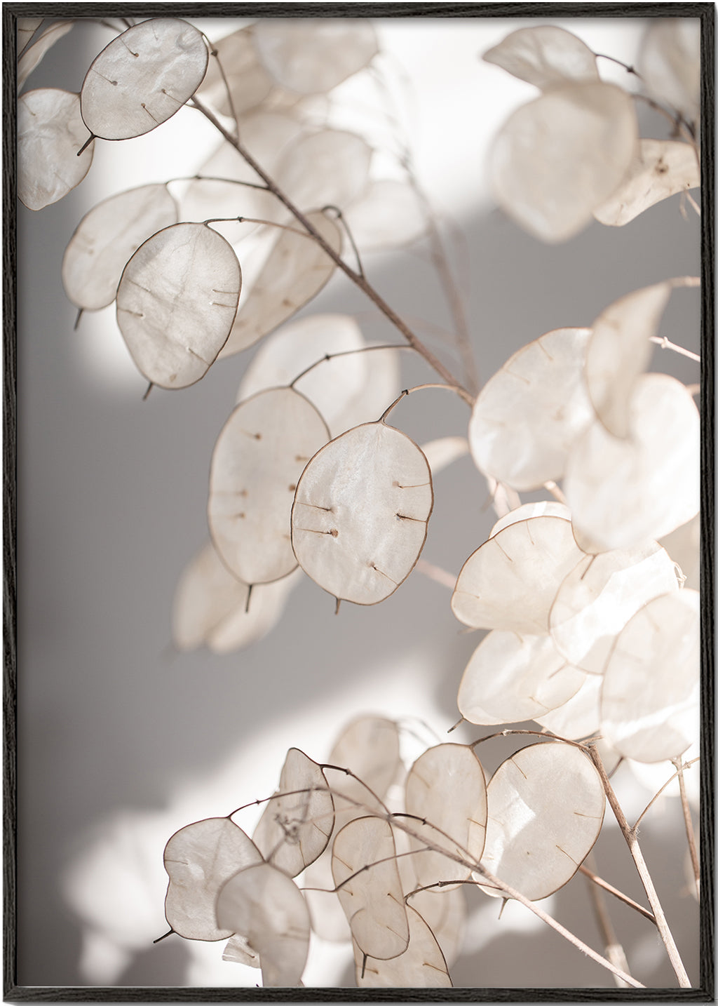 Botanický tisk průsvitné listy fotografie