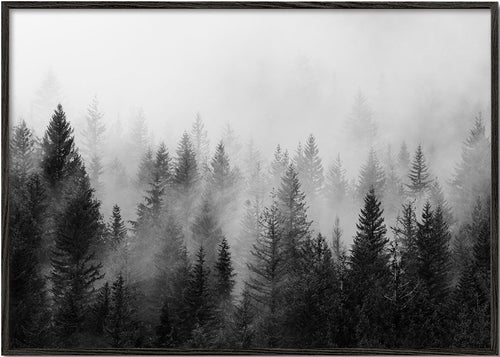 Černobílé umění: mlžný les panoramatický