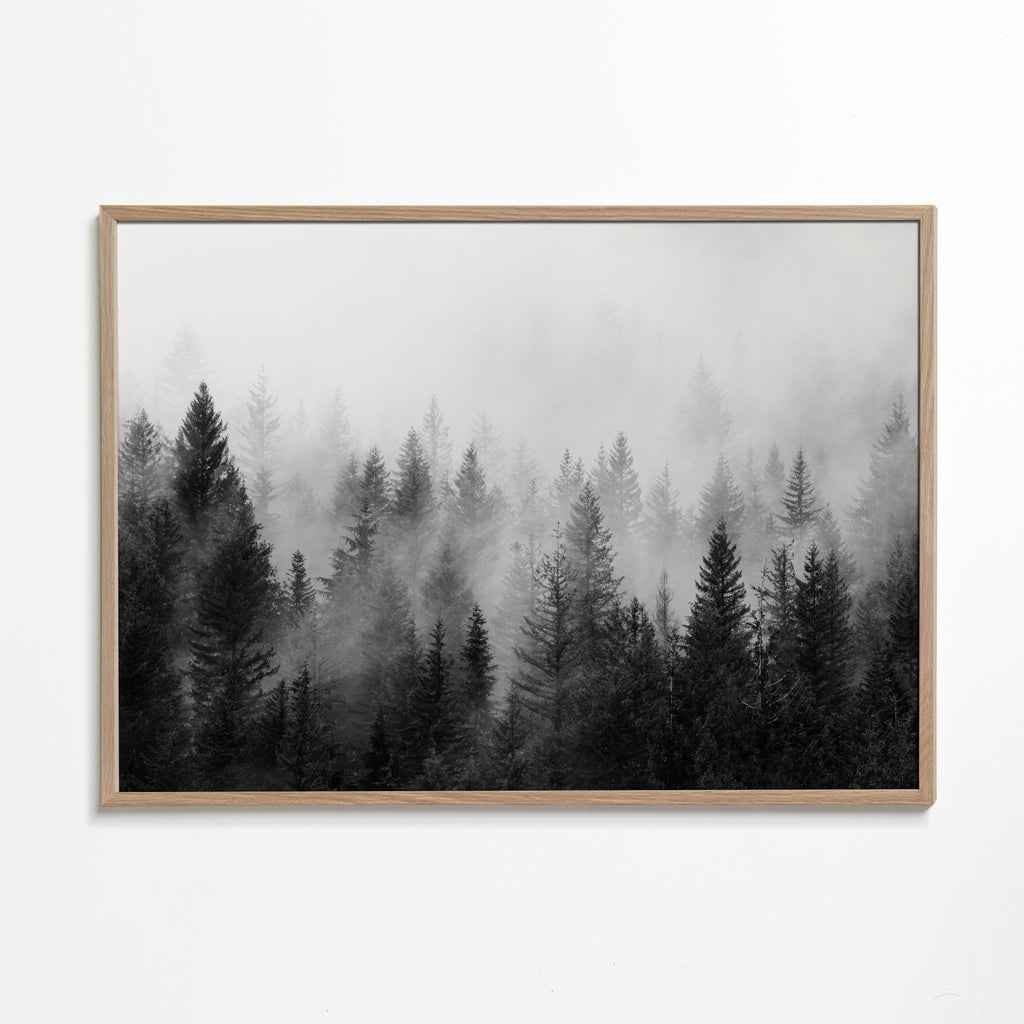 Černobílé umění: mlžný les panoramatický