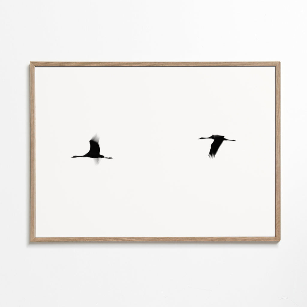 Obraz jeřábi v letu minimalistický