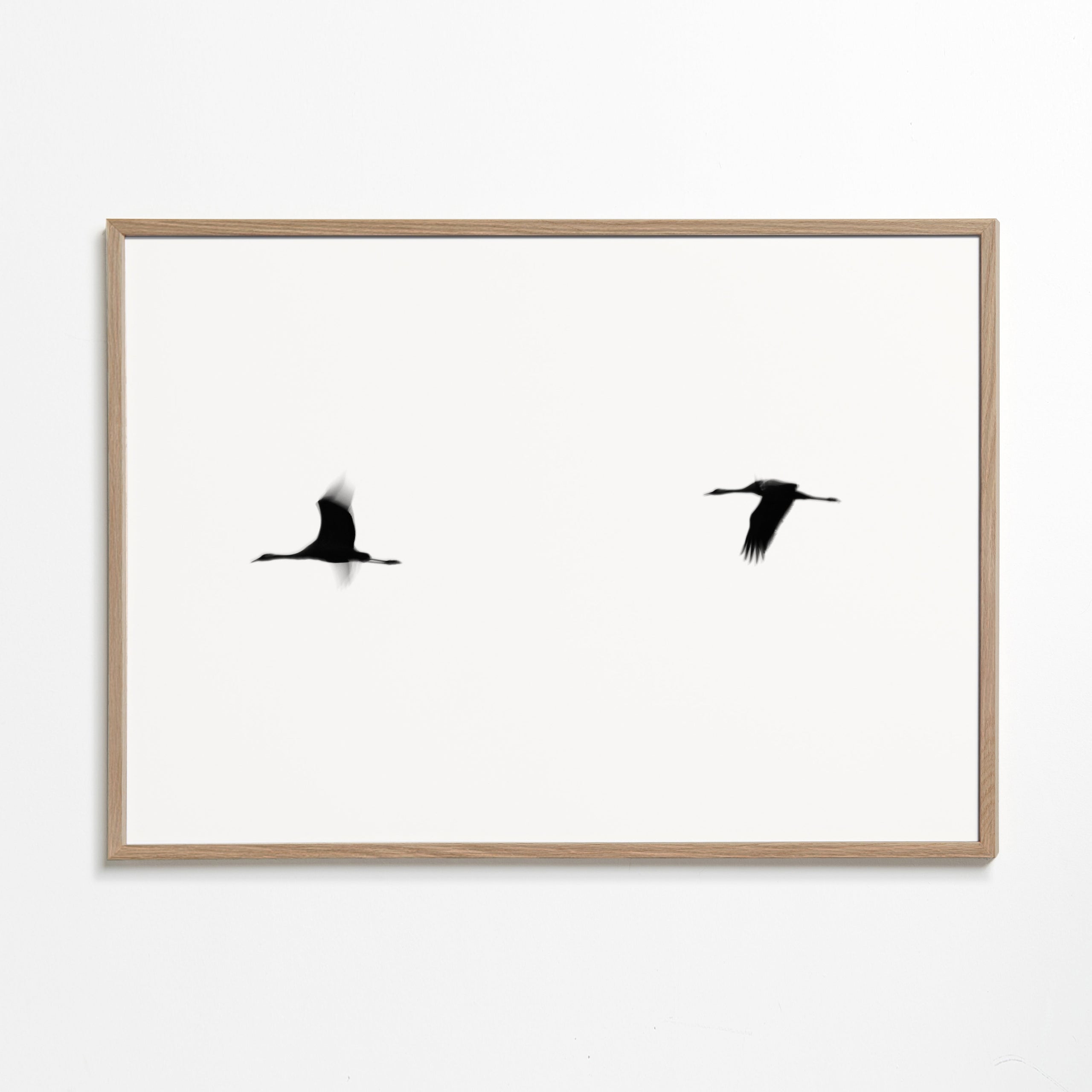 Obraz jeřábi v letu minimalistický