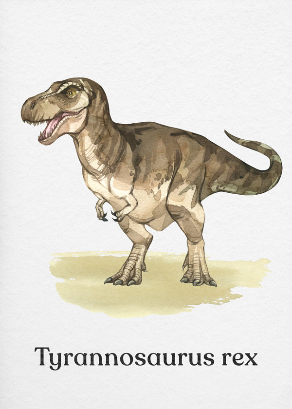 Obraz Tyrannosaurus rex ilustrace