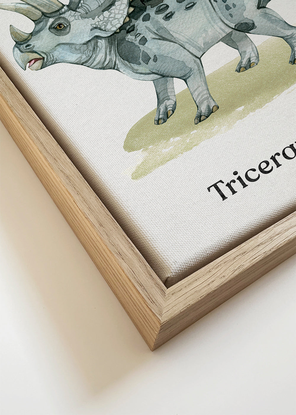 Dílo Triceratops akvarelová ilustrace