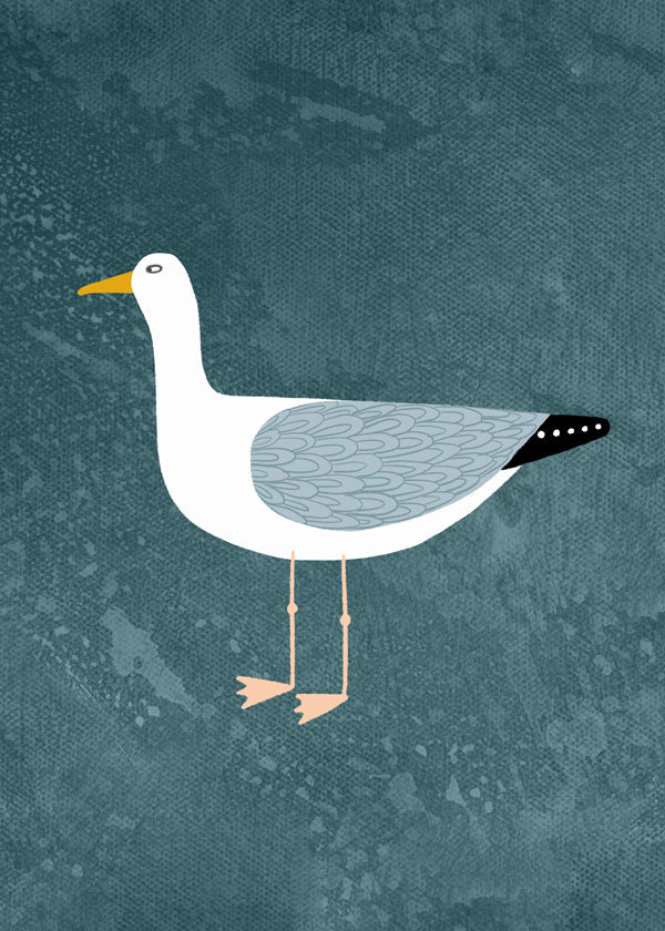 Ilustrace racek na modrém pozadí