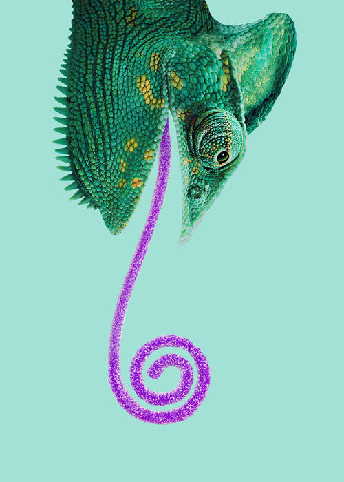 Obraz chameleon zelený s točitým jazykem