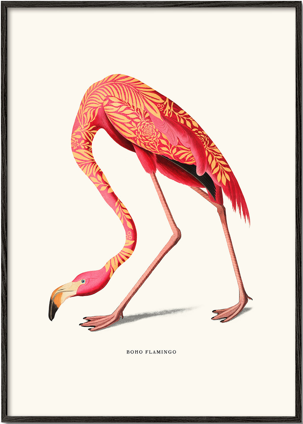 Ilustrace plameňáka boho