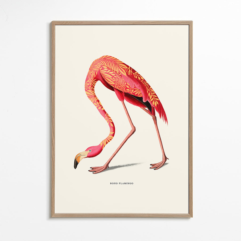 Ilustrace plameňáka boho