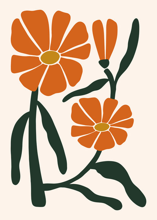 Botanický plakát s oranžovými květy